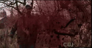 spn_bloodchunks spn_bloodchunks